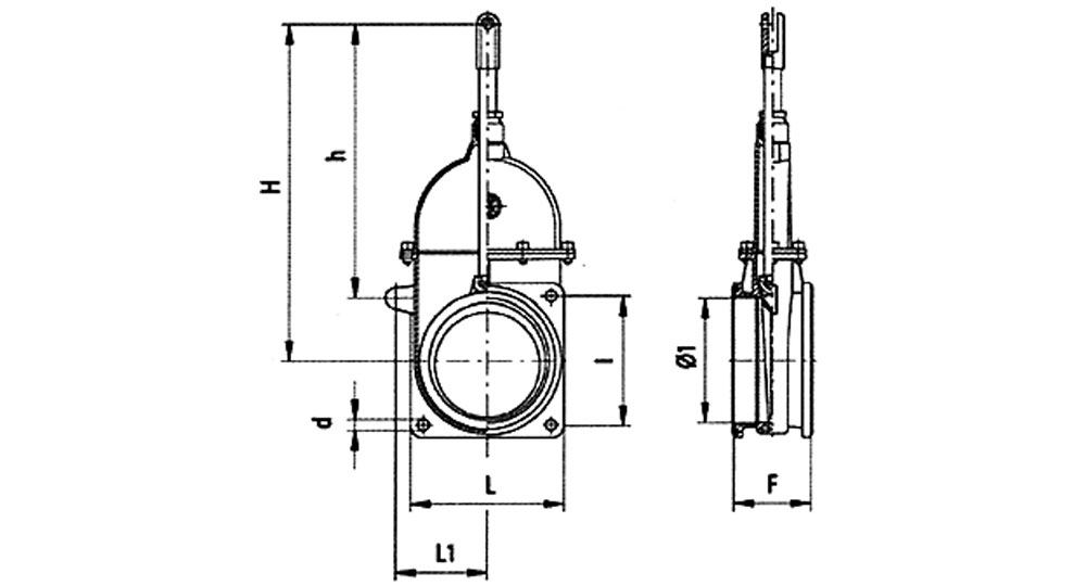 Hydraulic plunger gate valve with two flanges.